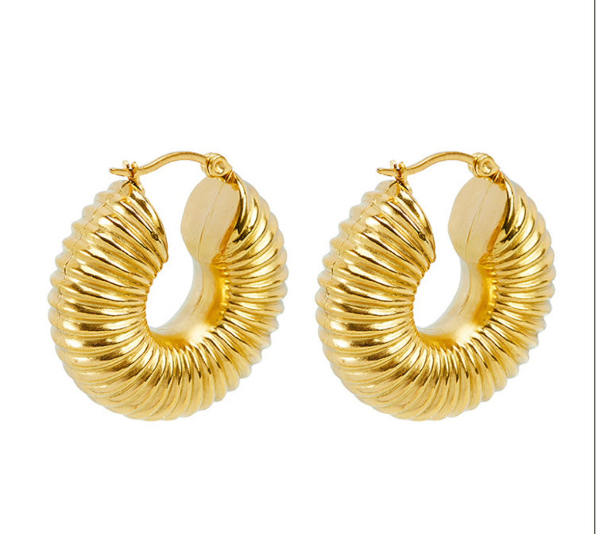 U Shape Gold Earrings